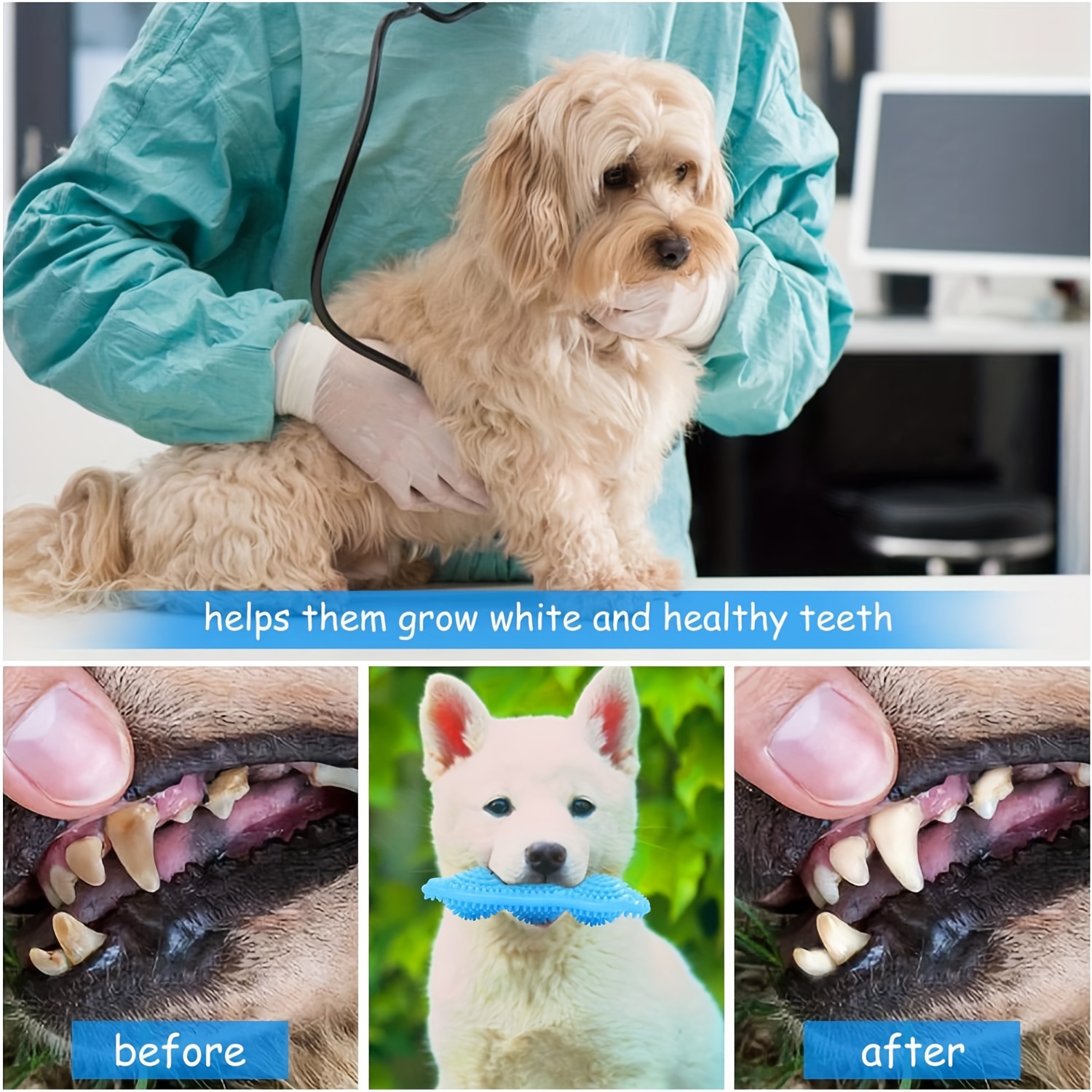 pet pea grinding toy pet pea grinding toy Product details 0
