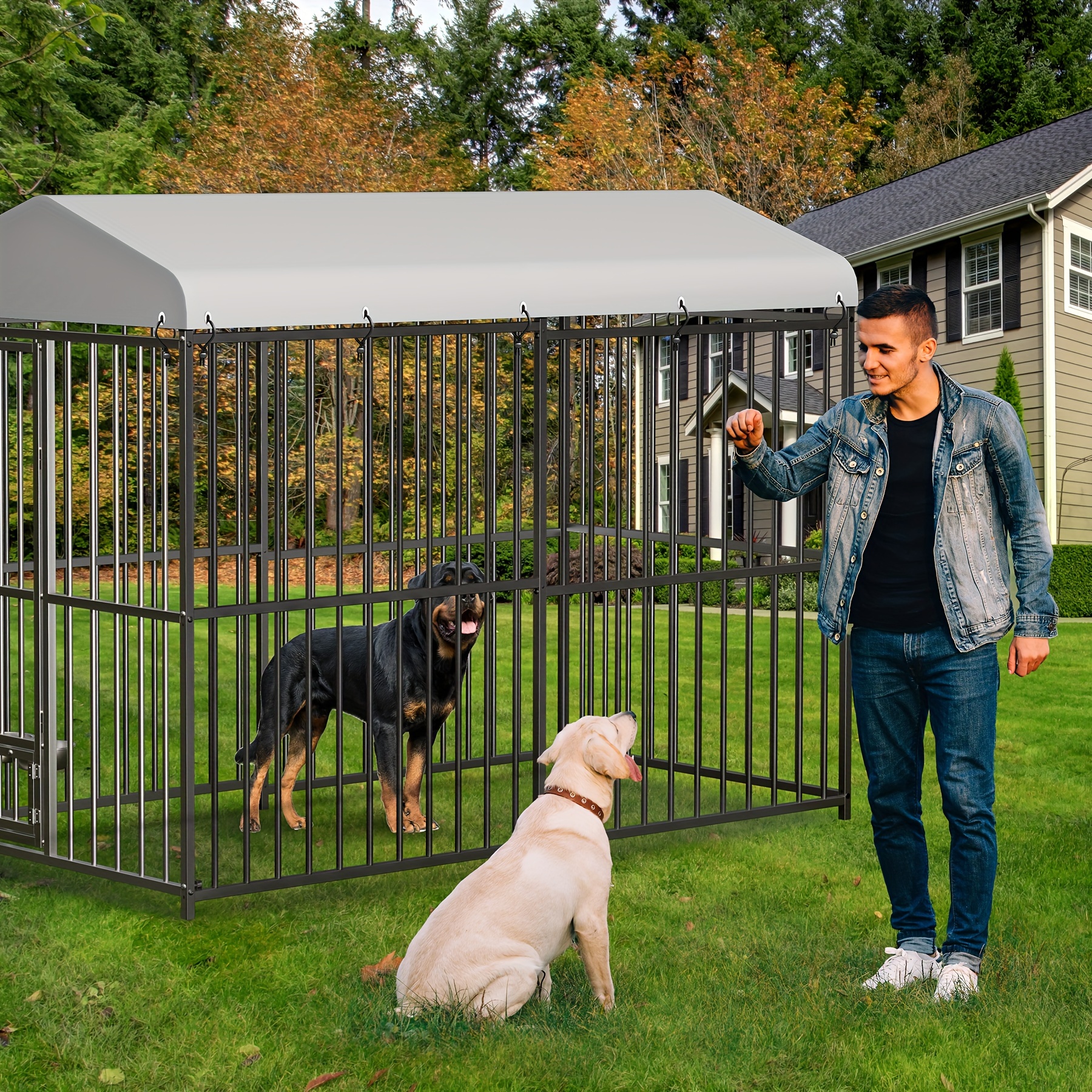 Dog Crate With Dry And Roofing Amazon Dog Run Outdoor Dog Kennel