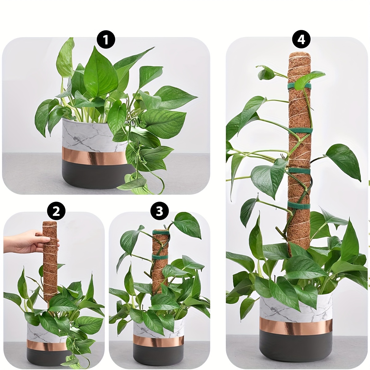 Moss Pole Plants: Pvc Coir Extendable Plant Support - Temu