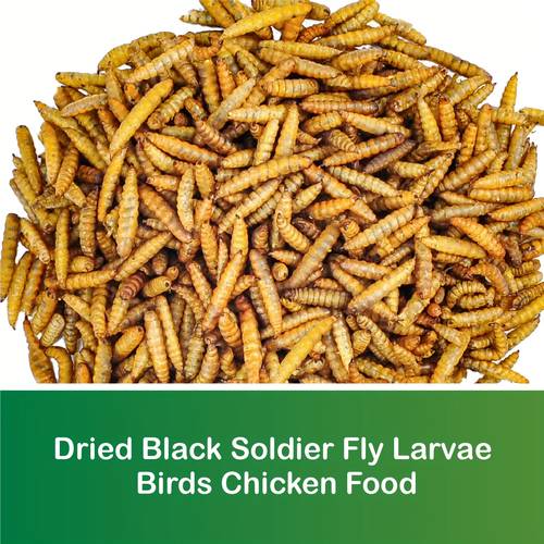 dried fly 10lbs 85x than treats for chicken duck wild bird turtle