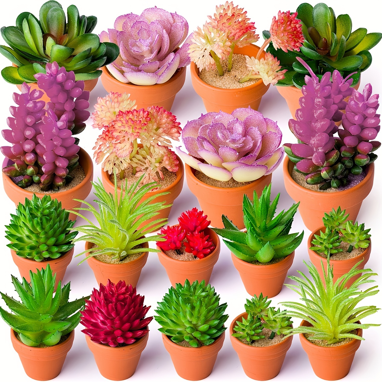 

27pcs Mini Diy Succulent Combination, Room Display Furniture Interior Decoration Bonsai Green Plant Spring Autumn Thanksgiving