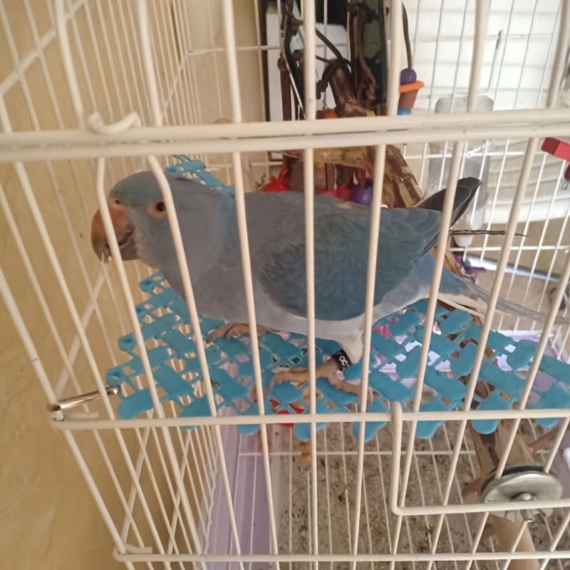 3 Pack Random Color Pet Hammock for Small Animals