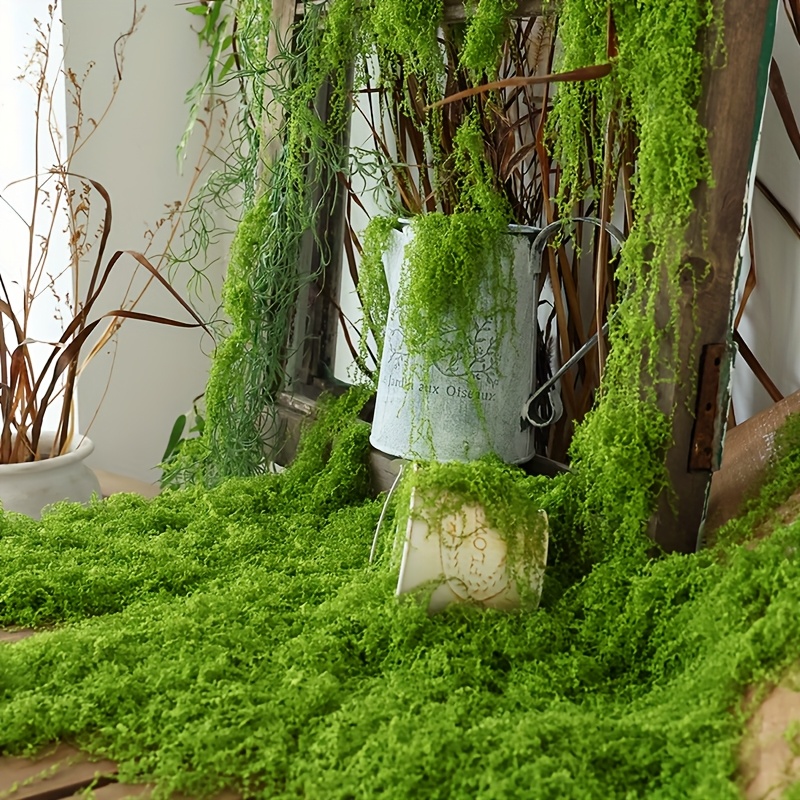 100g realistisches kunstmoos  ideal diy innengrten - Temu Switzerland