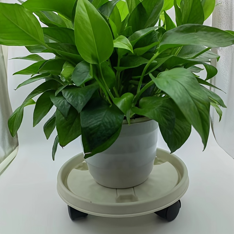 Sottovasi con ruote - Piante - Decorazione - Prodotti