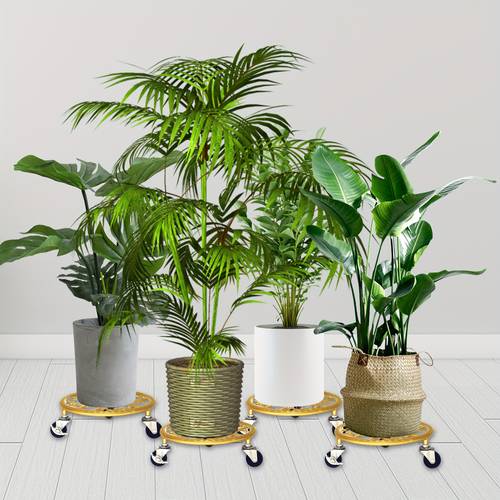2 pcs set gold black metal plant stand with wheels round pattern plant caddy heavy duty plant pot stand for indoor outdoor