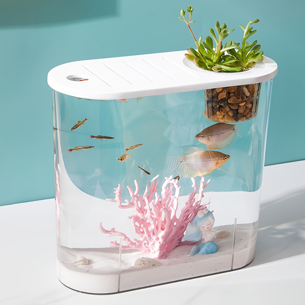 Stylish Acrylic Mini Fish Tank Perfect For Betta Fish - Temu Canada