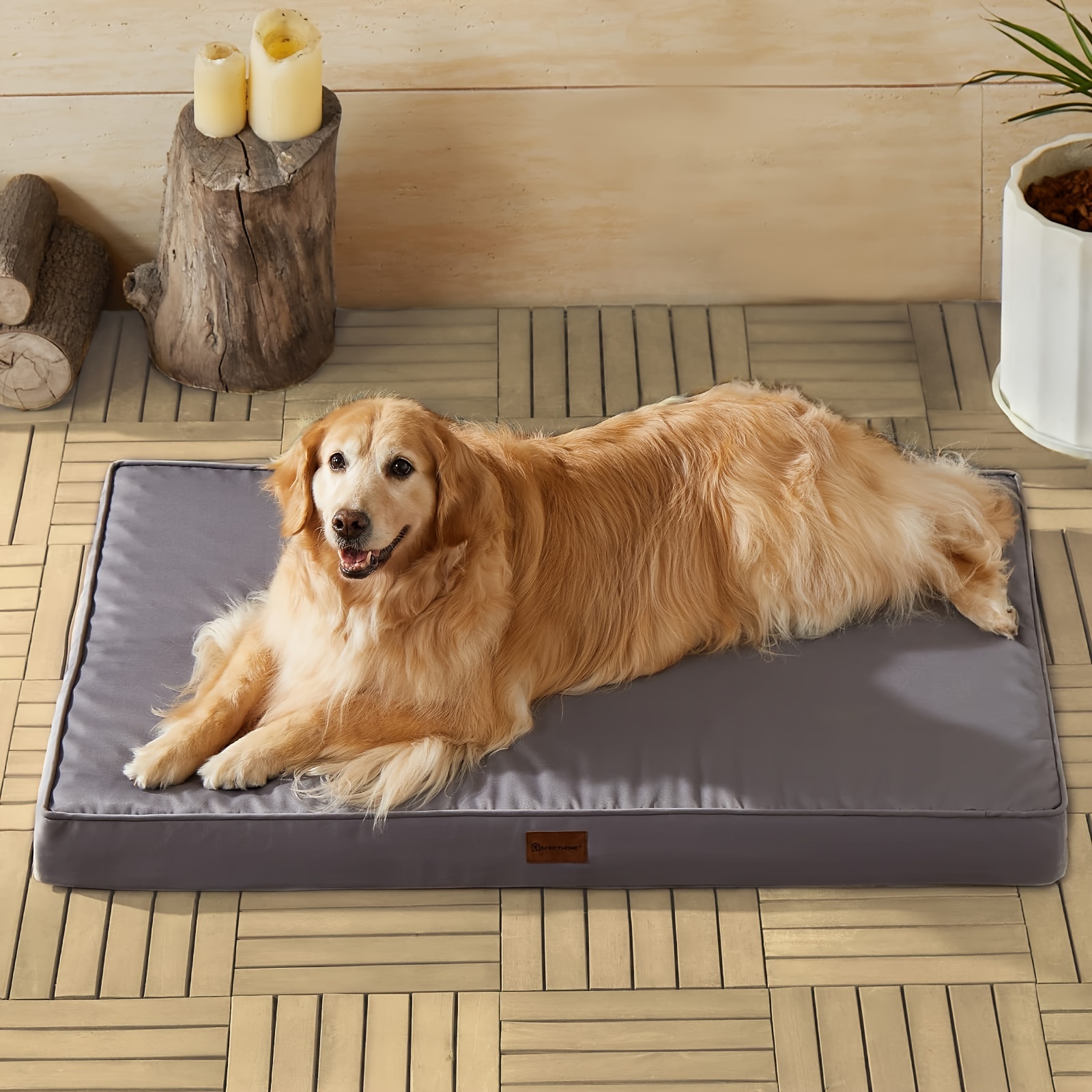 Outside dog mat best sale