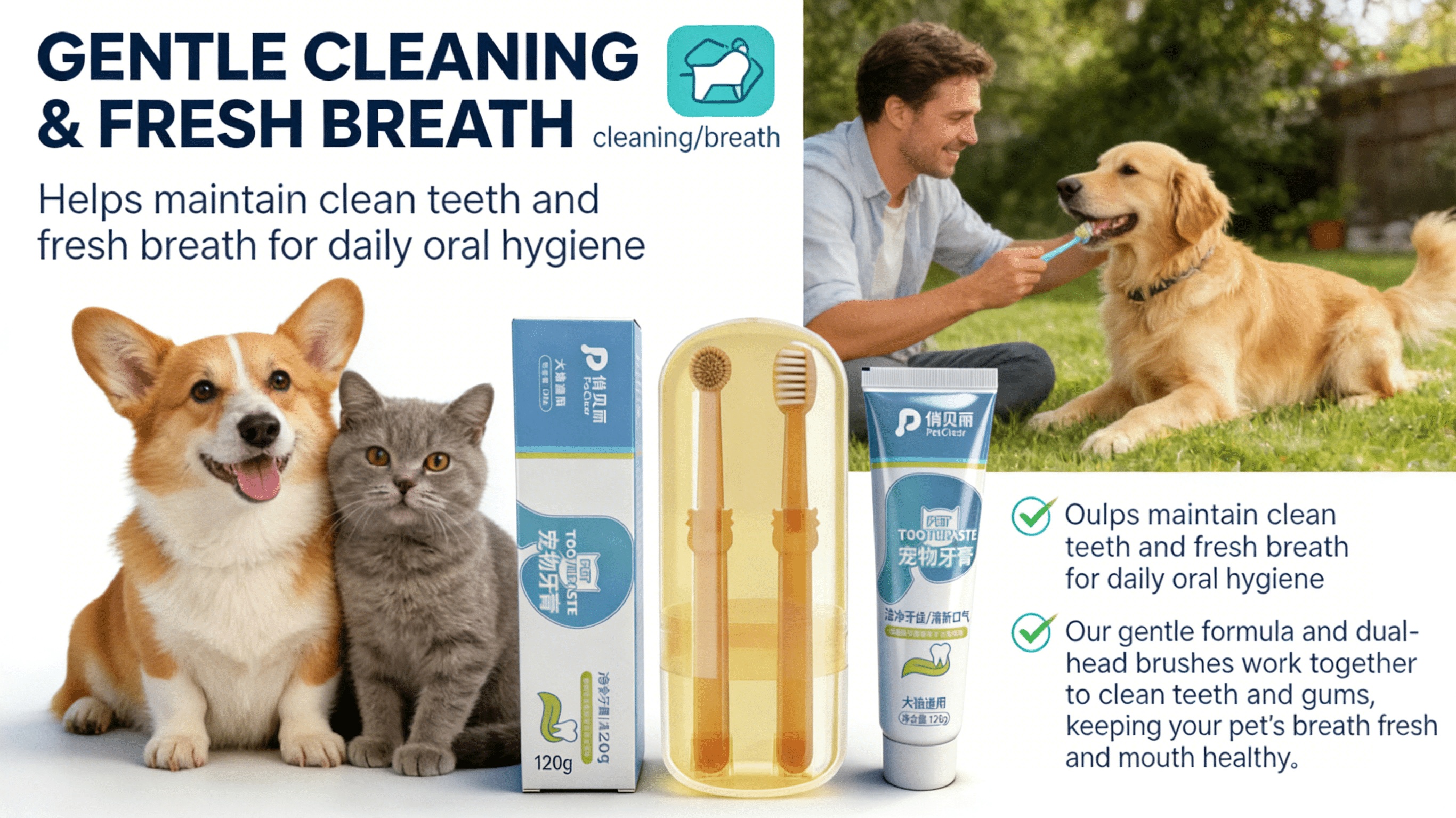 Pet Toothpaste And Toothbrush Set, Universal for Dogs And Cats, Dual-Head Design, Teeth Cleaning, Fresh Breath, Portable Storage Box