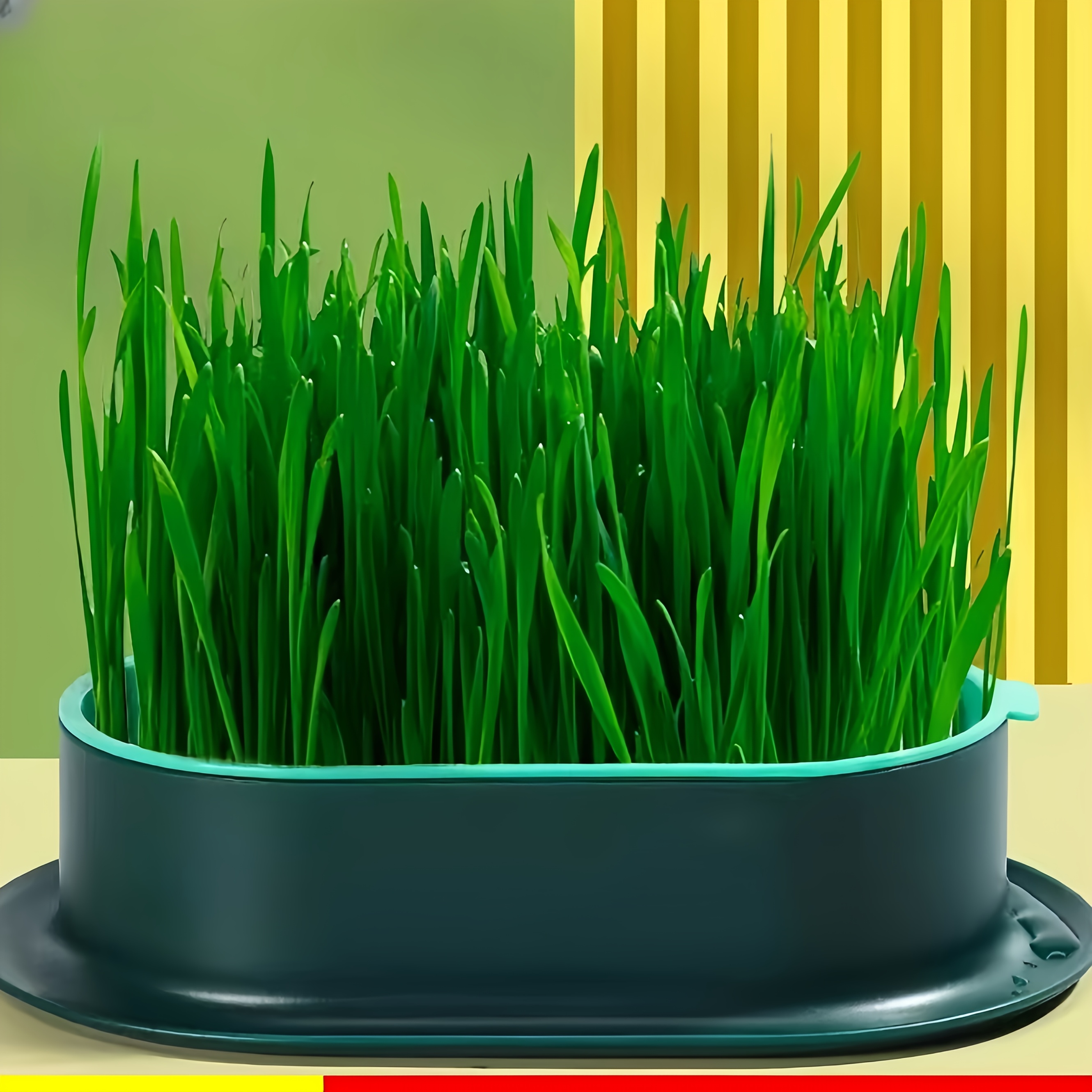 

2-pack Whiskerwonders Cat Grass Growing Kit, Hydroponic Planting Boxes, Plastic Seed Germination Trays With Exchange Design For Cats