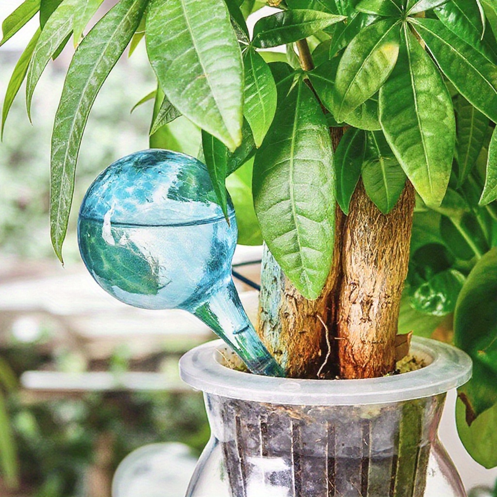 2pcs automatic watering globes indoor plants - Temu United Arab Emirates