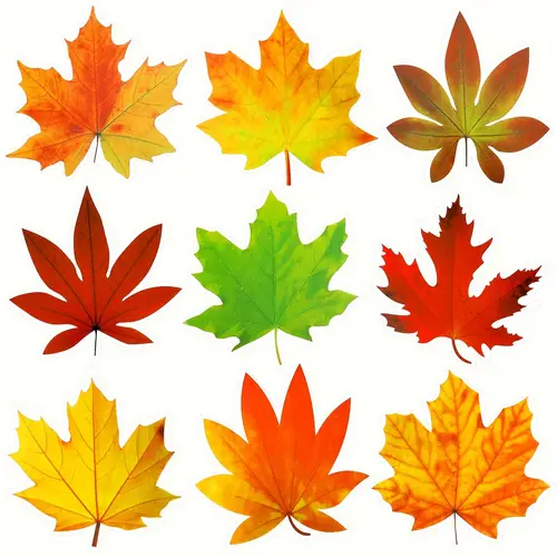 fall bulletin board decorations fall leave cutout autumn thanksgiving artificial leaf cutout maple paper leave with for classroom bulletin board wall decoration 3 94 x 3 5 in 135 pcs