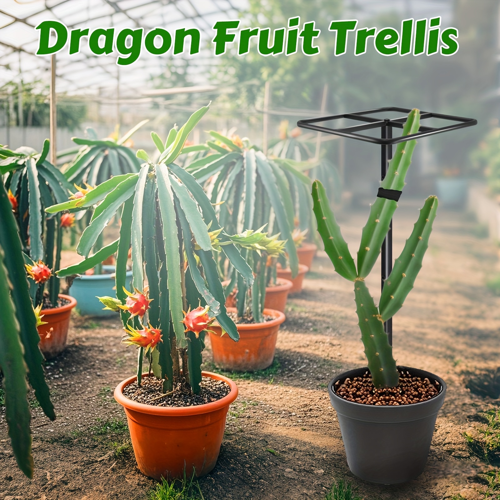 TEMU Premium Dragon Fruit Trellis - Durable Metal Trellis For And Climbing Plants - 12in X 12in X 50in