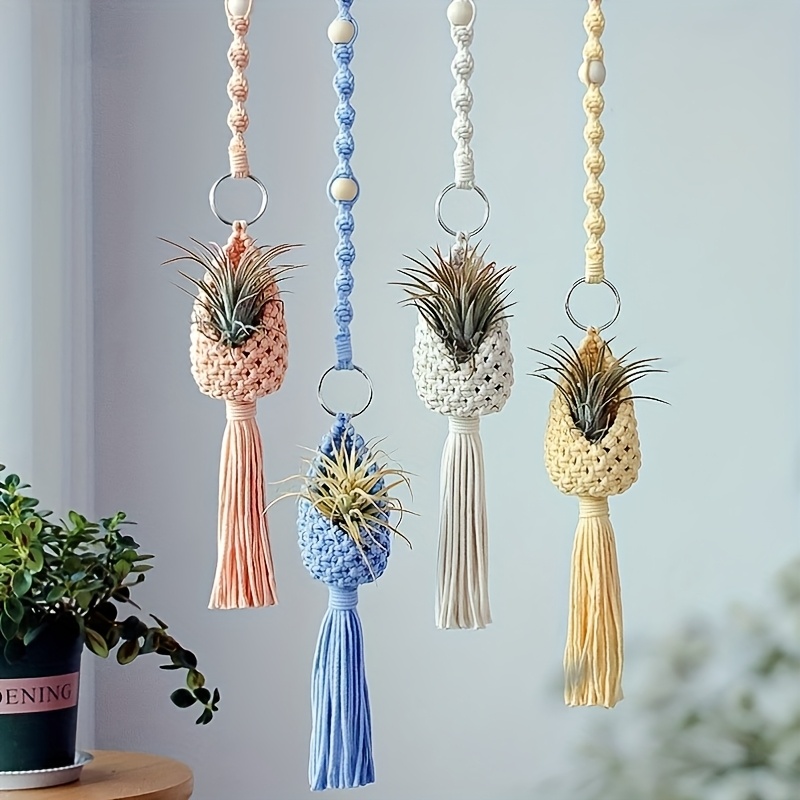 beginners guide making a macrame air plant holder decorative - Temu Sweden