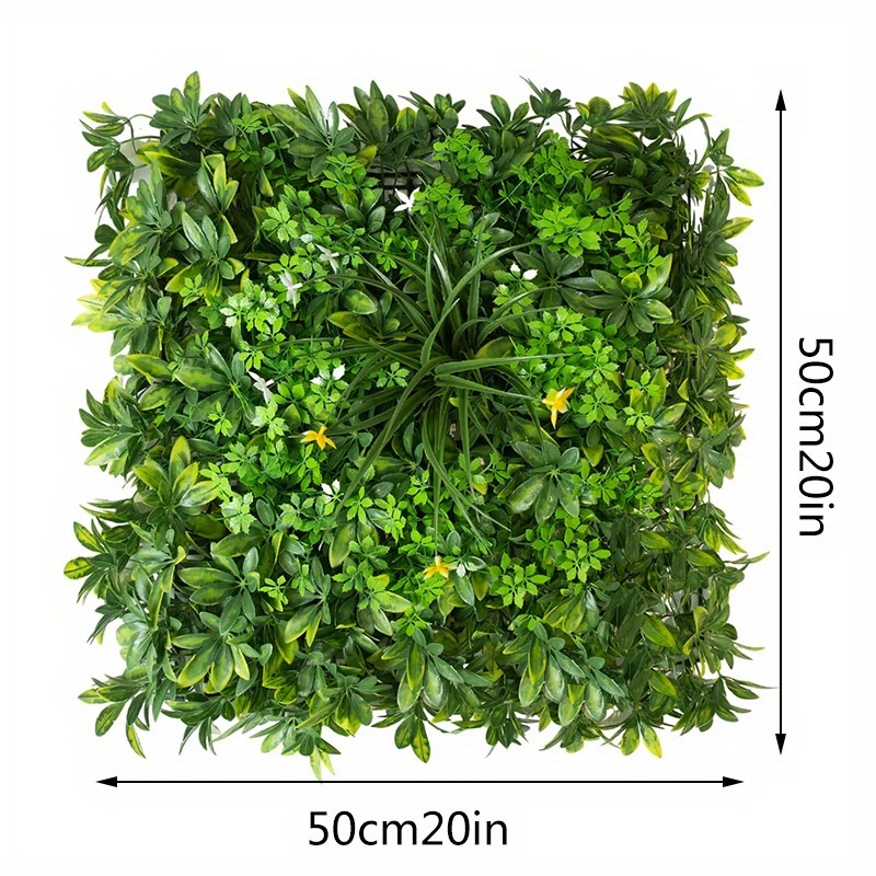 gummibaum bilder Gummibaum XL | Ficus elastica