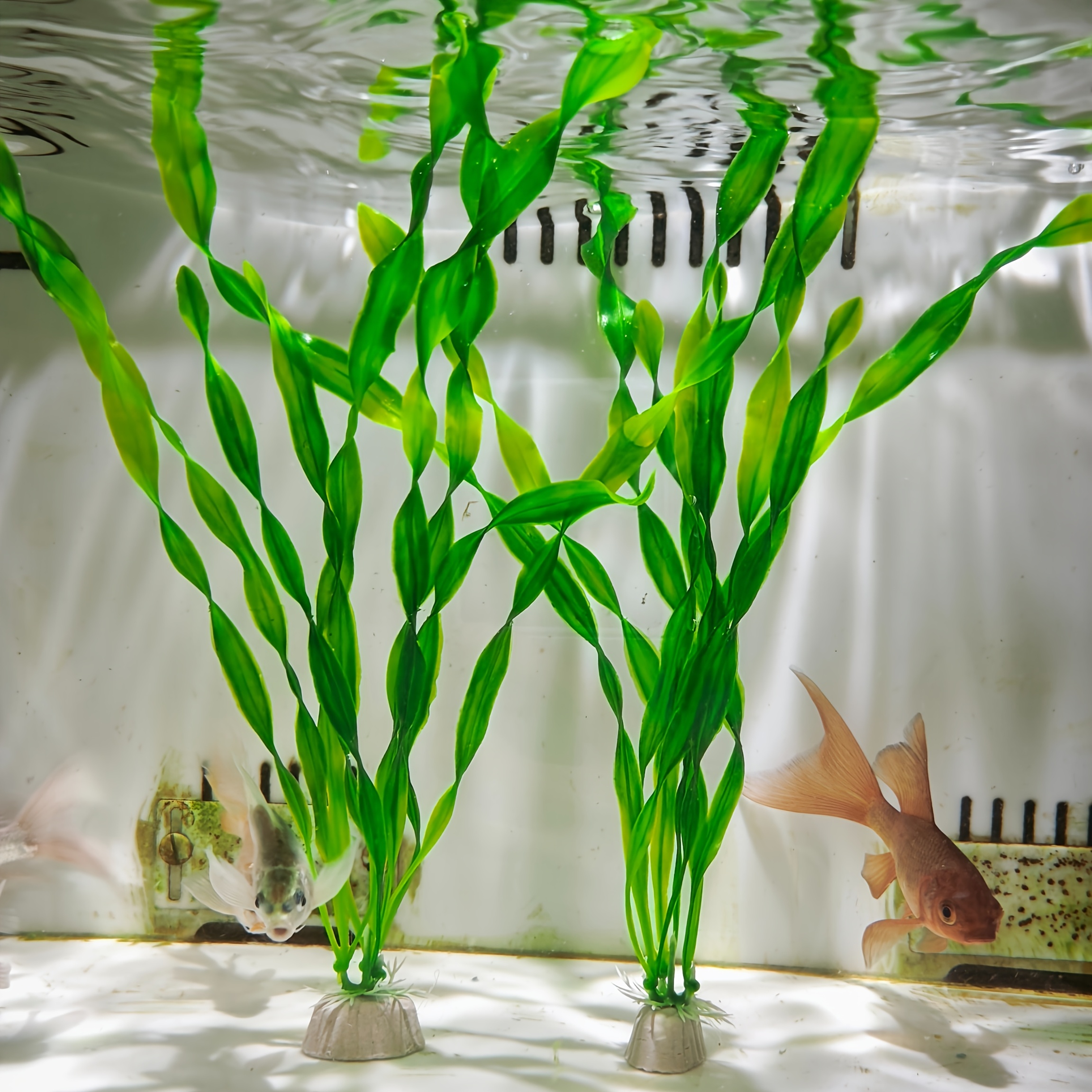 TEMU 2pcs Aquarium Landscape Simulation Water Plants Fish Tank Decoration Lazy Water Plants Seaweed Small Water Plants