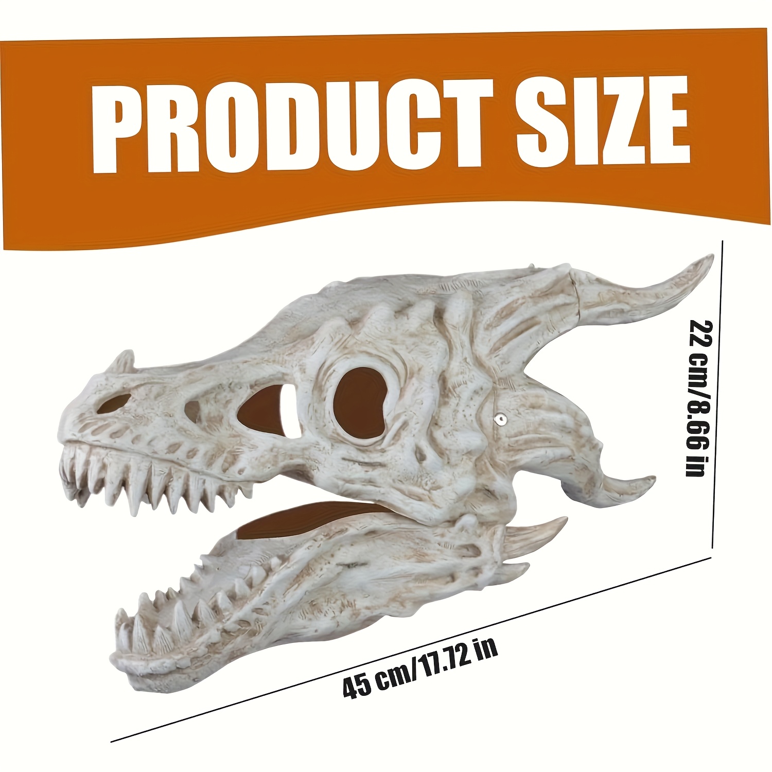 Niunion Modèle De Crâne De Dinosaure, Résine De Modèle De Crâne De Dinosaure Hautement émulé Simulé Squelette Animal Home Office Decor Artisanat Enseignement Prop