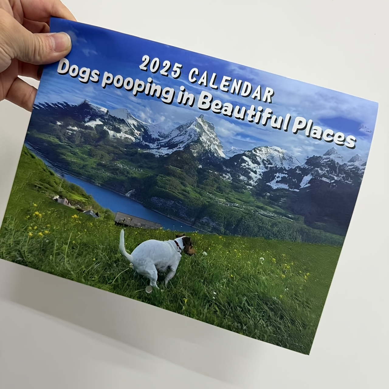 

1pc 2025 Dogs Pooping In Beautiful Places Calendar, English Language, Everyday Wall Decor, Monthly Planner With Animal Humor