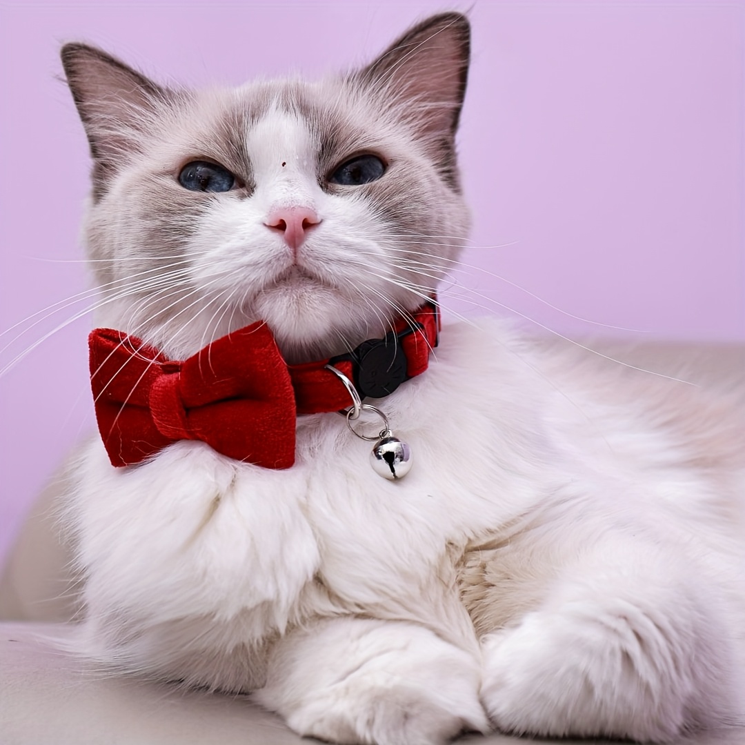 adjustable plush cat collar with detachable bowtie comfortable   neck short long collars   for small cats and dogs pet collar accessory     fabric collar Product details 2