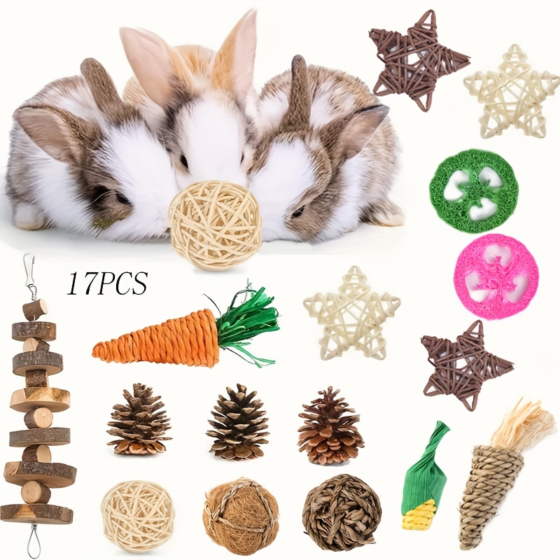 17pcs Bunny Toys Set for Interactive Fun with Small Pets