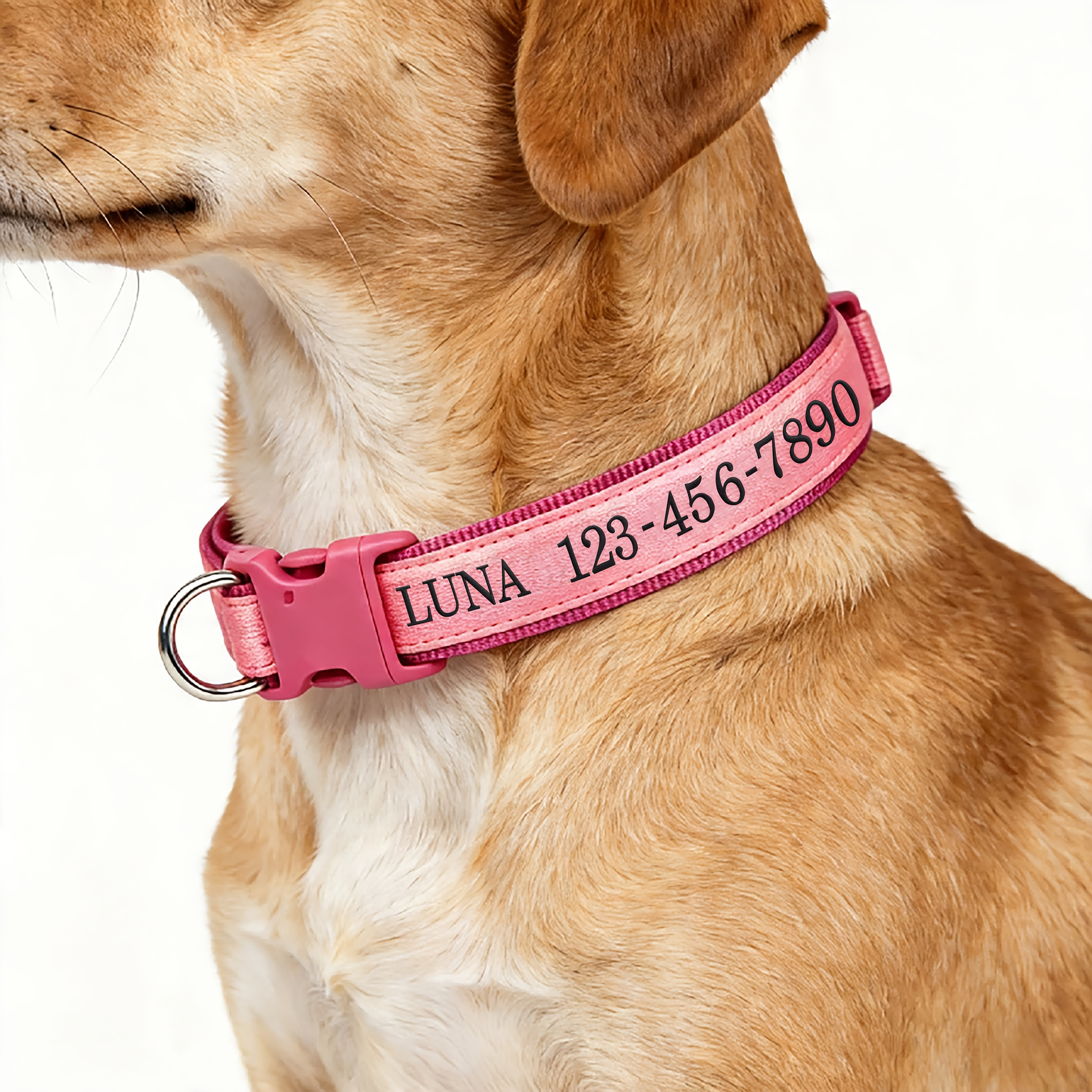 TEMU (customized) New Luminous Dog Collar Upgraded Luminous Material Personalized Embroidered Name And Phone Number Anti-lost 4 Sizes For Small Dogs