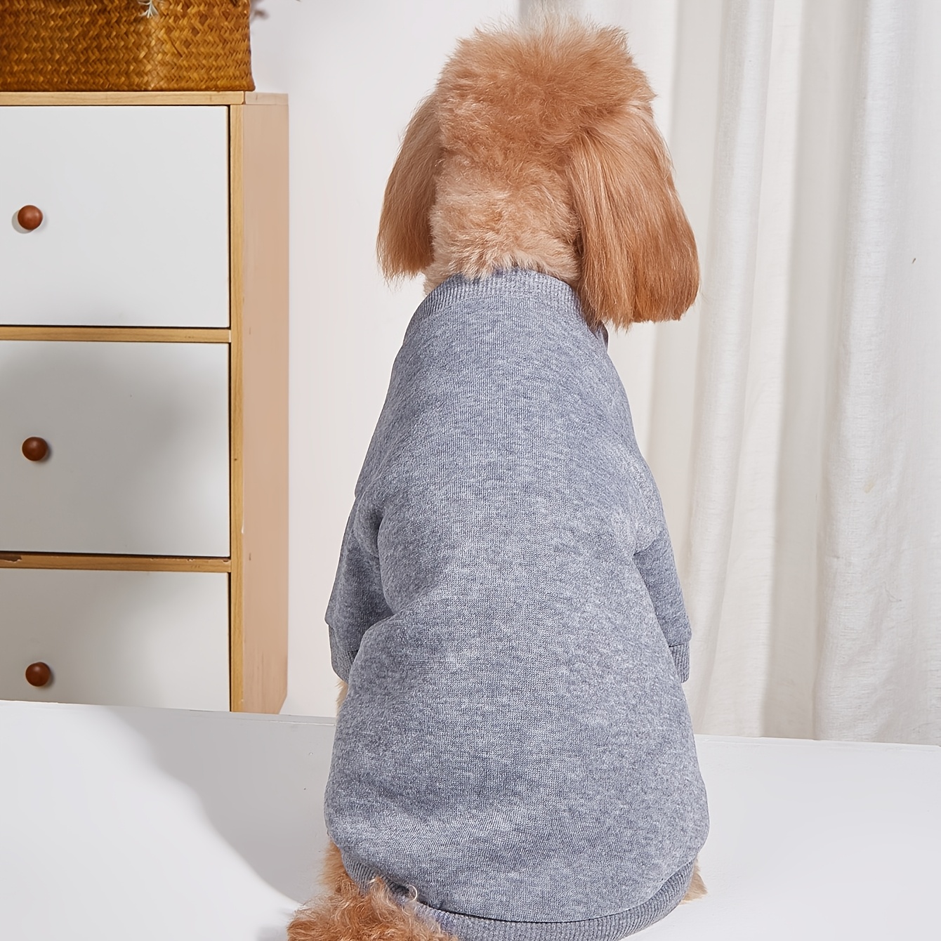1pc summer pet sweatshirt casual and comfortable plain color clothes for dogs and cats Product details 3