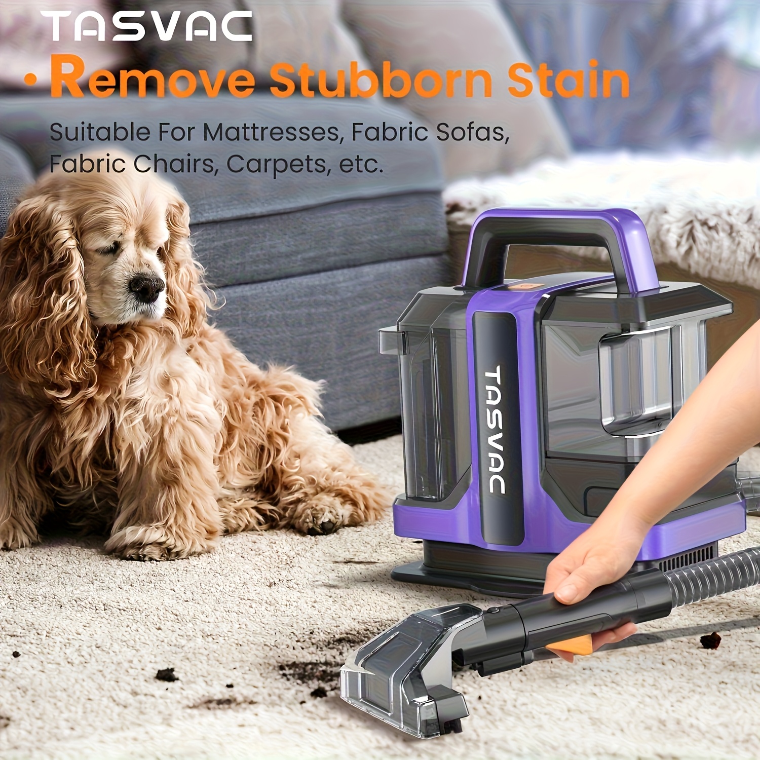 portable carpet cleaner sold on Temu United States