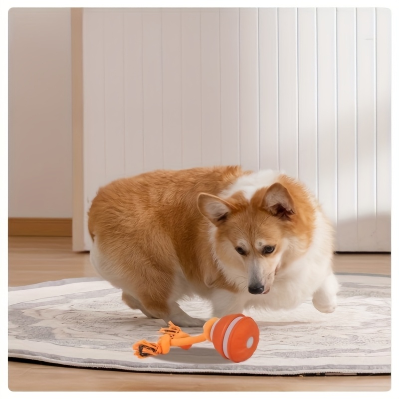 Electric Bouncing Ball Dog Toy for Boredom Relief