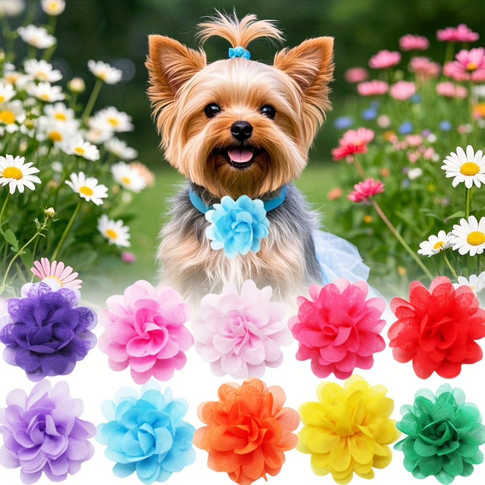 TEMU 10 Pezzi per Cani con Fiocchi Elastici Rimovibili - Fiocchi Multicolore per Animali Domestici, per Cuccioli e Cani, Accessori per Toelettatura