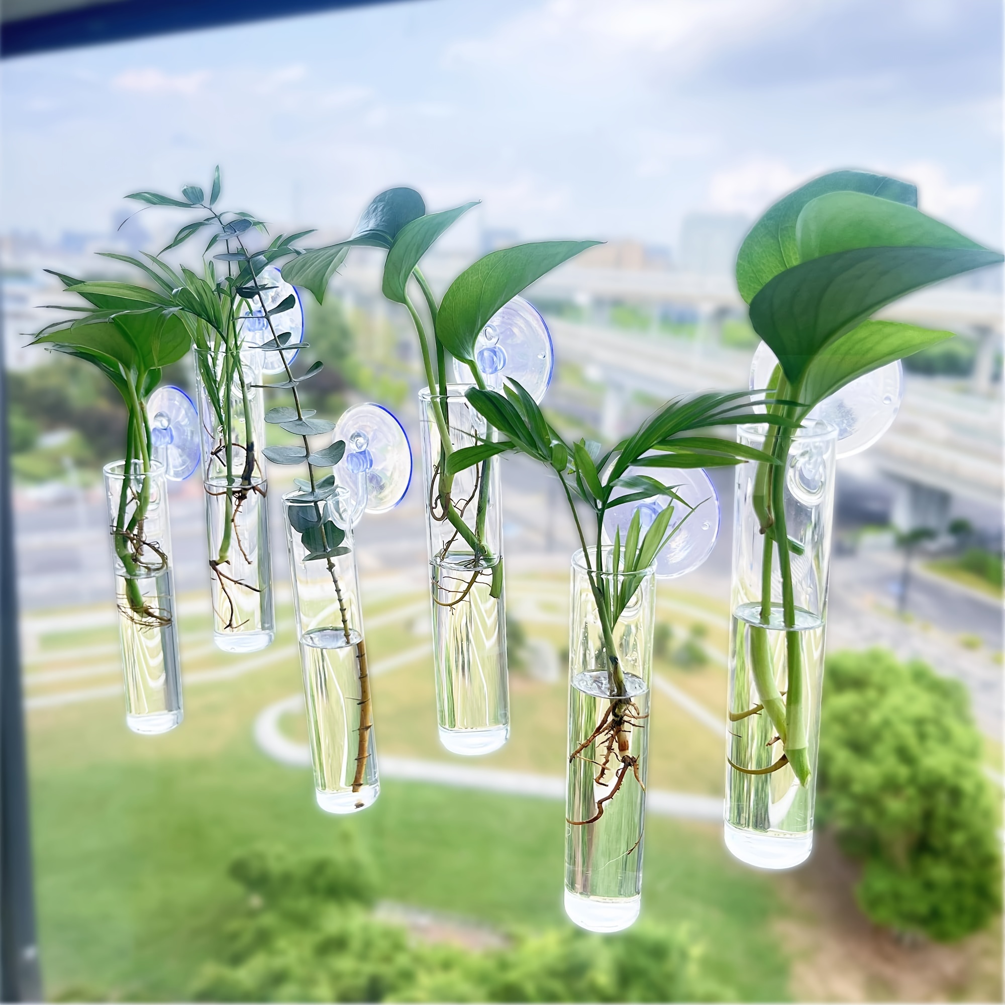 

6-tube Window Plant Propagation Station With Suction Cups And Invisible Pins: Plant Containers For Home Decoration