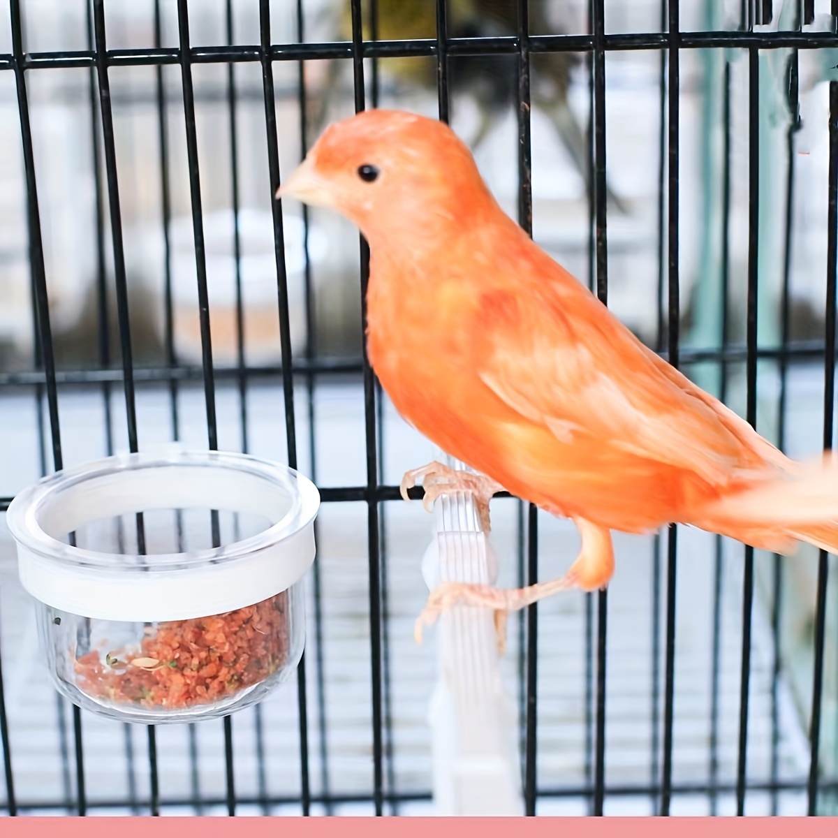 

1 Tasse D'alimentation Pour Oiseaux, Boîte de Nourriture Pour Perroquet Avec Support, Fournitures D'alimentation Pour Cage À Oiseaux