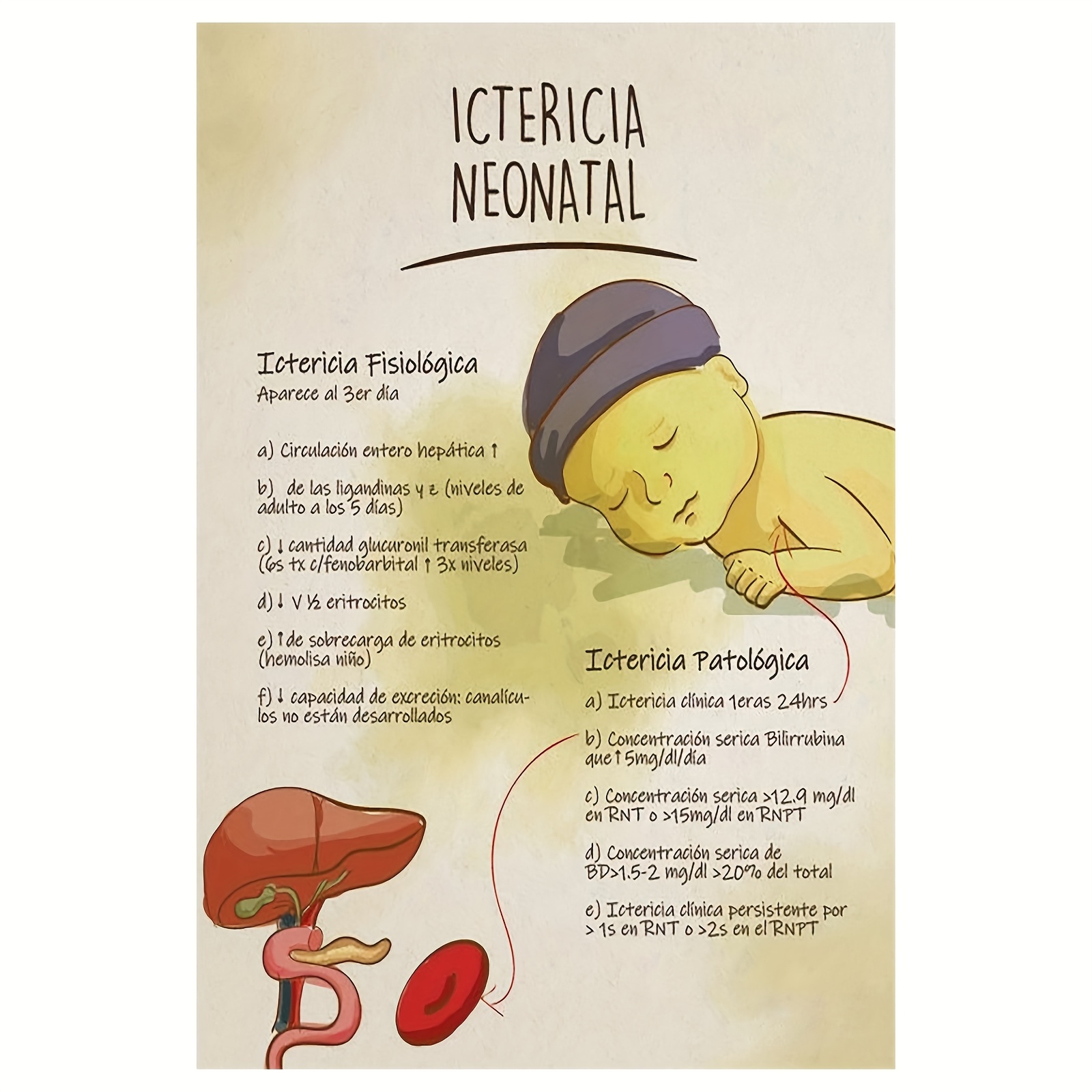 Nacidos Las Bilirrubinas En Los Bebes Nacidos Bilirrubina En Los