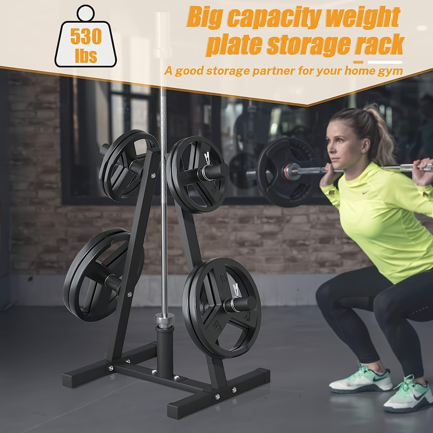 Weight Plate Tree 10 Best Home Gym Storage Solutions In 2025