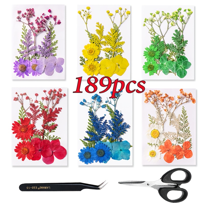 TEMU A Set Of 189 Dried Flower Arrangements, Complete With Tweezers And Handmade Scissors - Perfect For Crafting Resin Jewelry, Candles, Soap, And