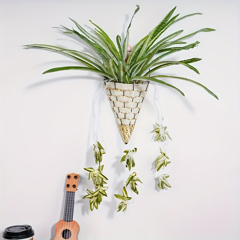 lucky bamboo feng shui Feng Shui Bamboo Plant - Lucky Indoor Decor