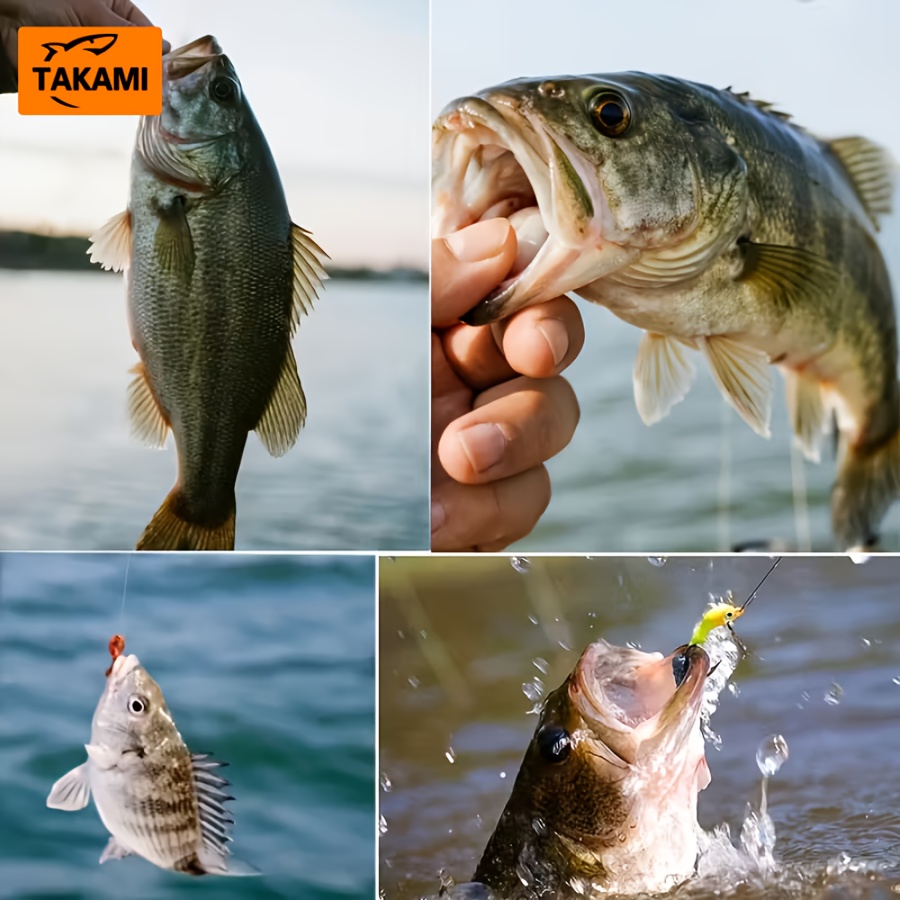 shimano b 200 reel CU200K / Yes Precise Walleye Crankbait 5/8 DC4 unit provides anglers Color:Rasta Fade betta breeding food