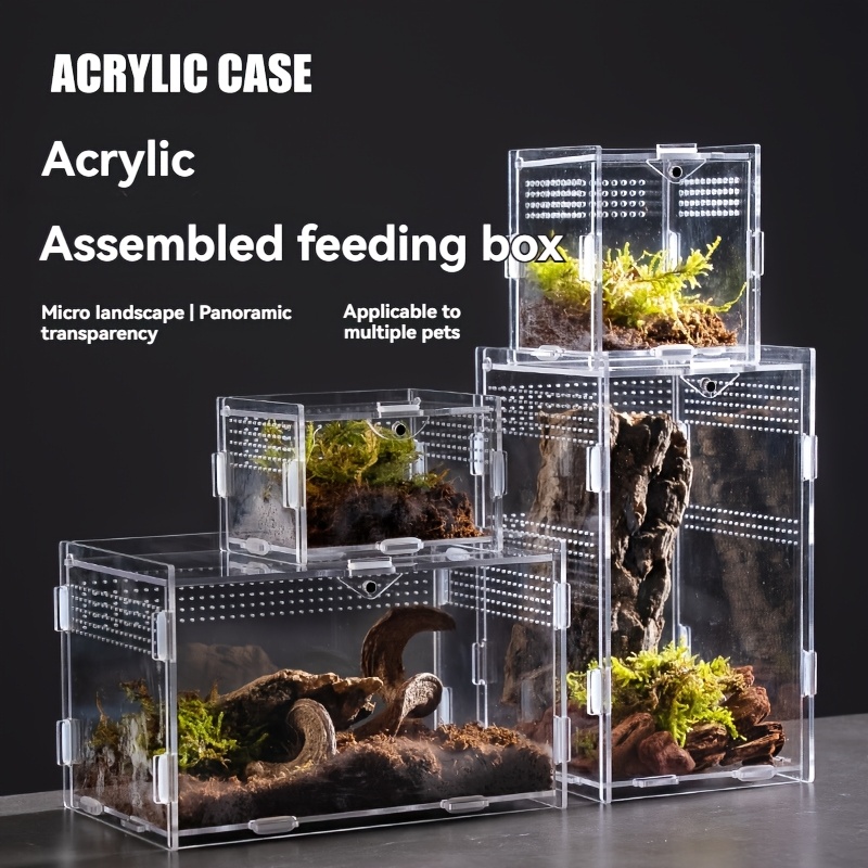 1 Pcs Jumping Spide Feeding Dish Tanspaent Acylic