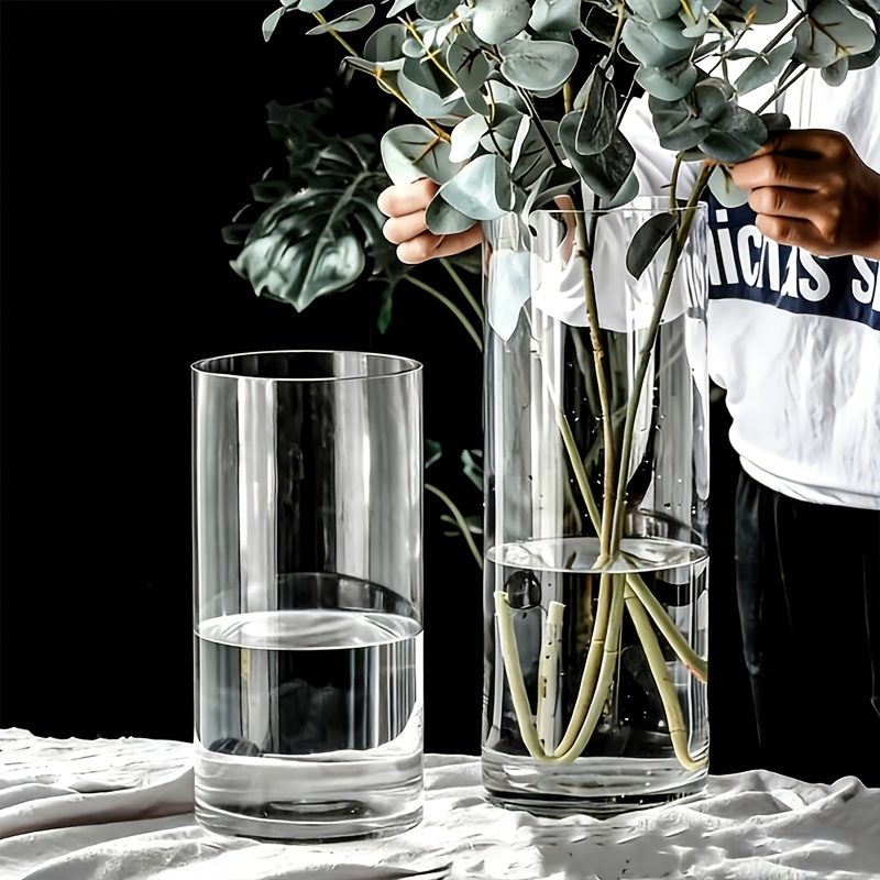 Two Extra-Large Transparent Cylindrical Vases for Floral Arrangements