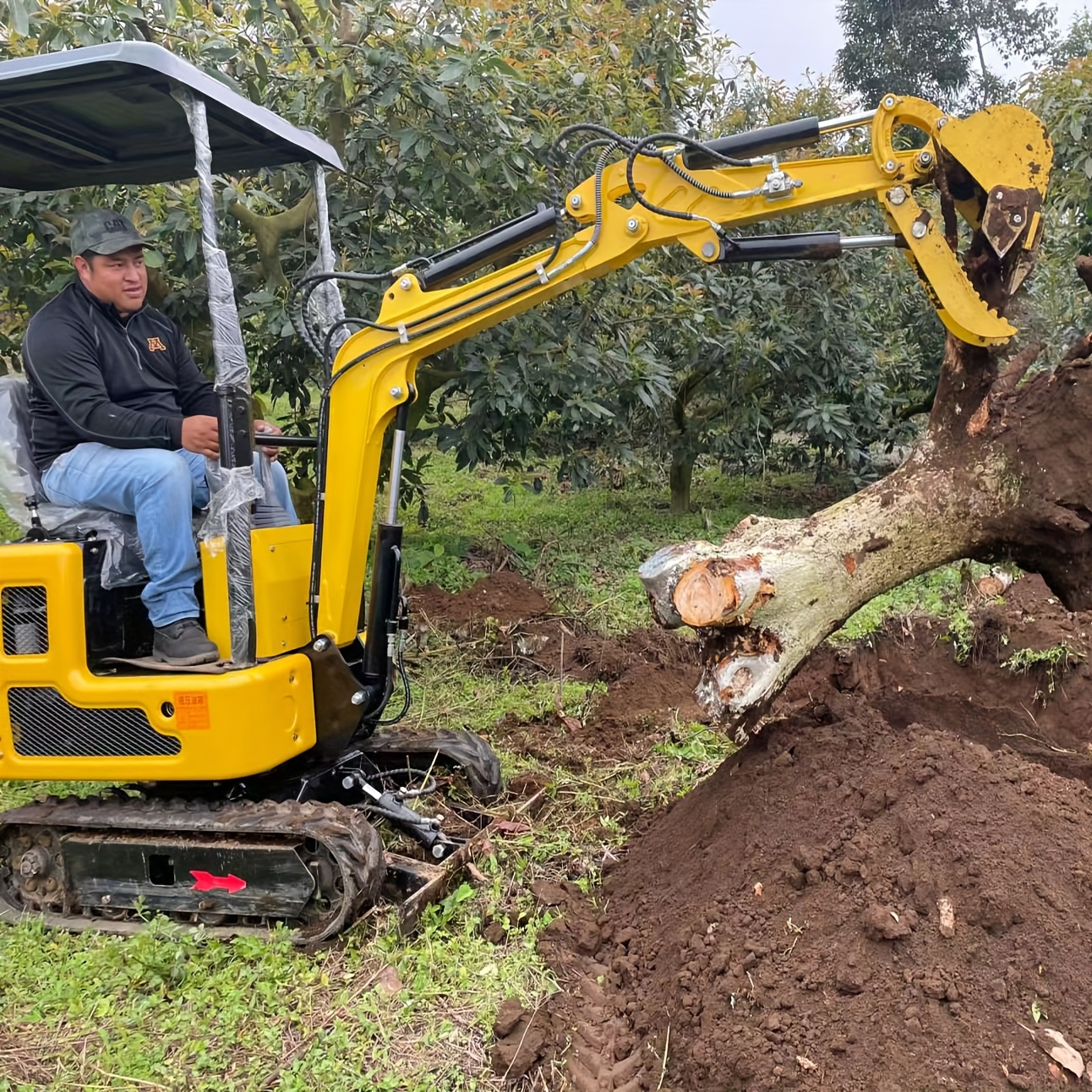 construction excavator sold on Temu United States