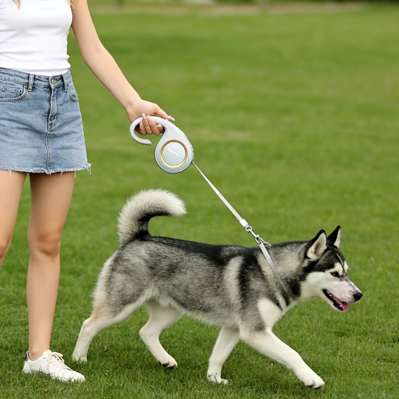 adjustable dog bowls elevated Elevated Adjustable Stainless Steel Pet Bowl main image 0