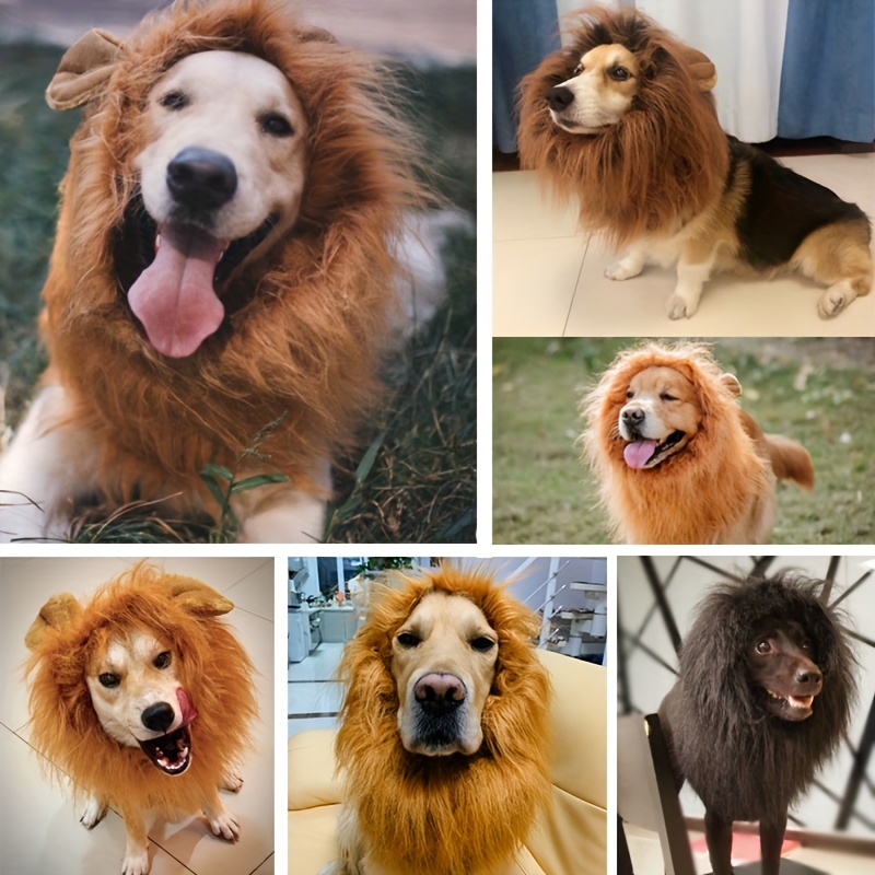 slim fit dress slacks Lion Dog Costume  DoggoComfy