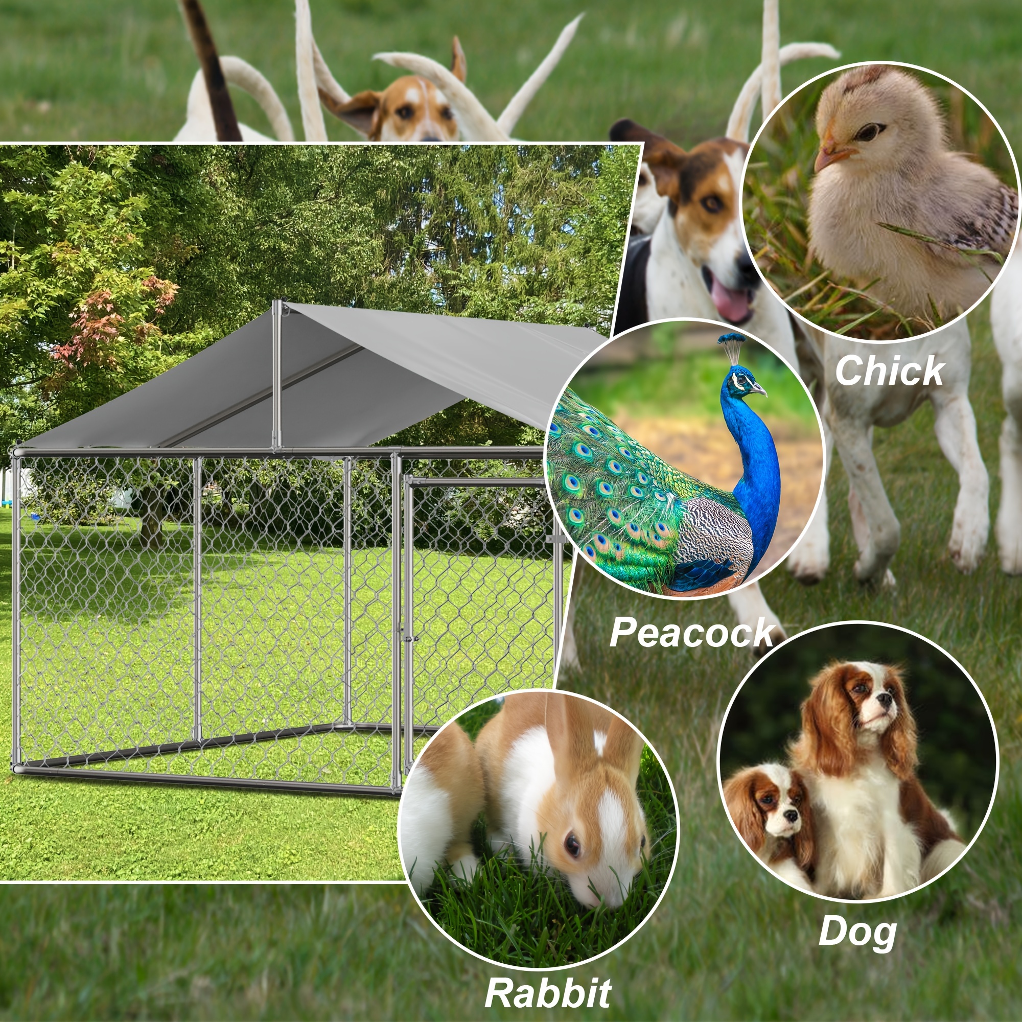 Detallegoheavy Duty Outdoor Dog Kennel Large Dog Cage Temu