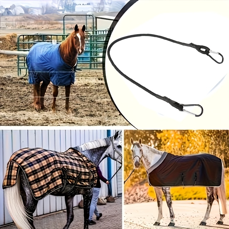 E-shop Pferde-Deckenriemen mit doppelseitigem Clip, elastischer Beinriemen, Ersatz für elastische Beinriemen für Reitsportausrüstung