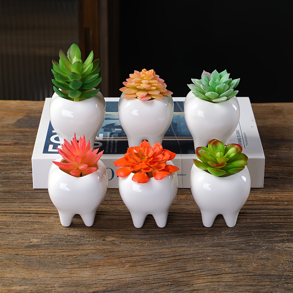 Set of 6 Ceramic Flower Pots for Succulents, Small White Pots Shaped Like  Teeth. gardening gift home decor