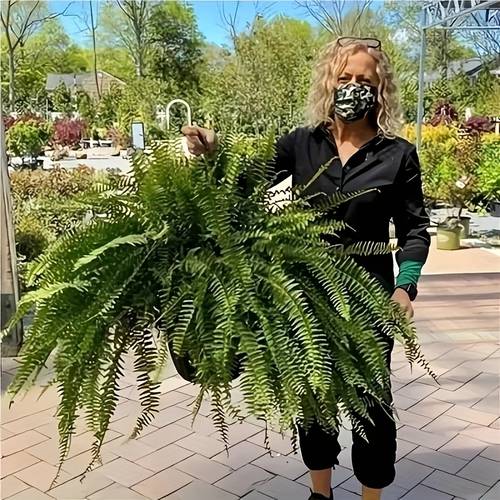 4 packs of boston fern wreaths true and for indoor and outdoor decorations uv resistant plastic leaves artificial plants ideal for gardens and home decorations