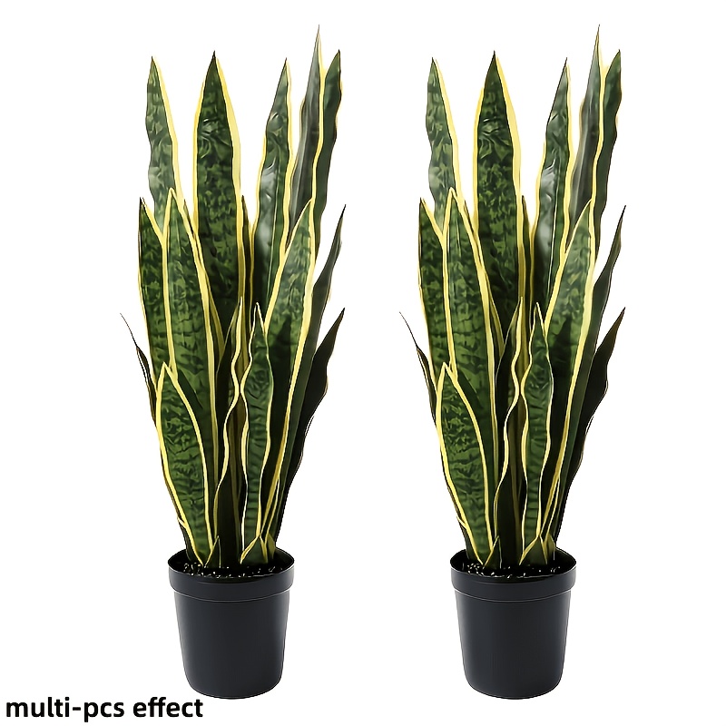snake plant sold on Temu Australia