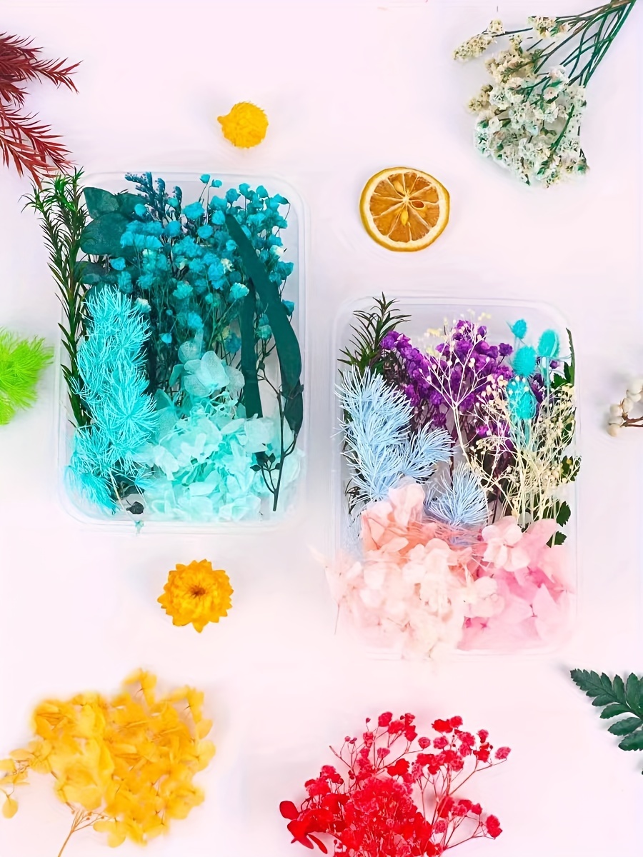 Preserved Flower DIY Kit with 8-10 Types of Flower Materials, Photo Frame, Folding Fan, Candle, Aromatherapy Flower Materials, Handmade Soap, DIY Straw Hat Material Kit, Surprise Gift