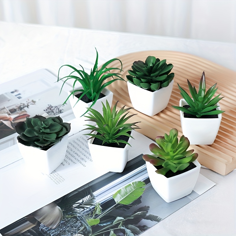 6個セット】シミュレーション多肉植物 小型鉢植えコンボ（容器付き
