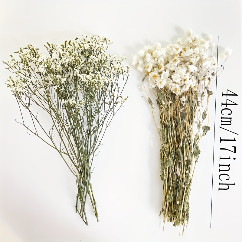 1 Bundle Of Dried Lavender And Daisy Starry Bouquet And Elegant Bridal Bouquet, Home And Restaurant Decoration,…: retailer-supplied image