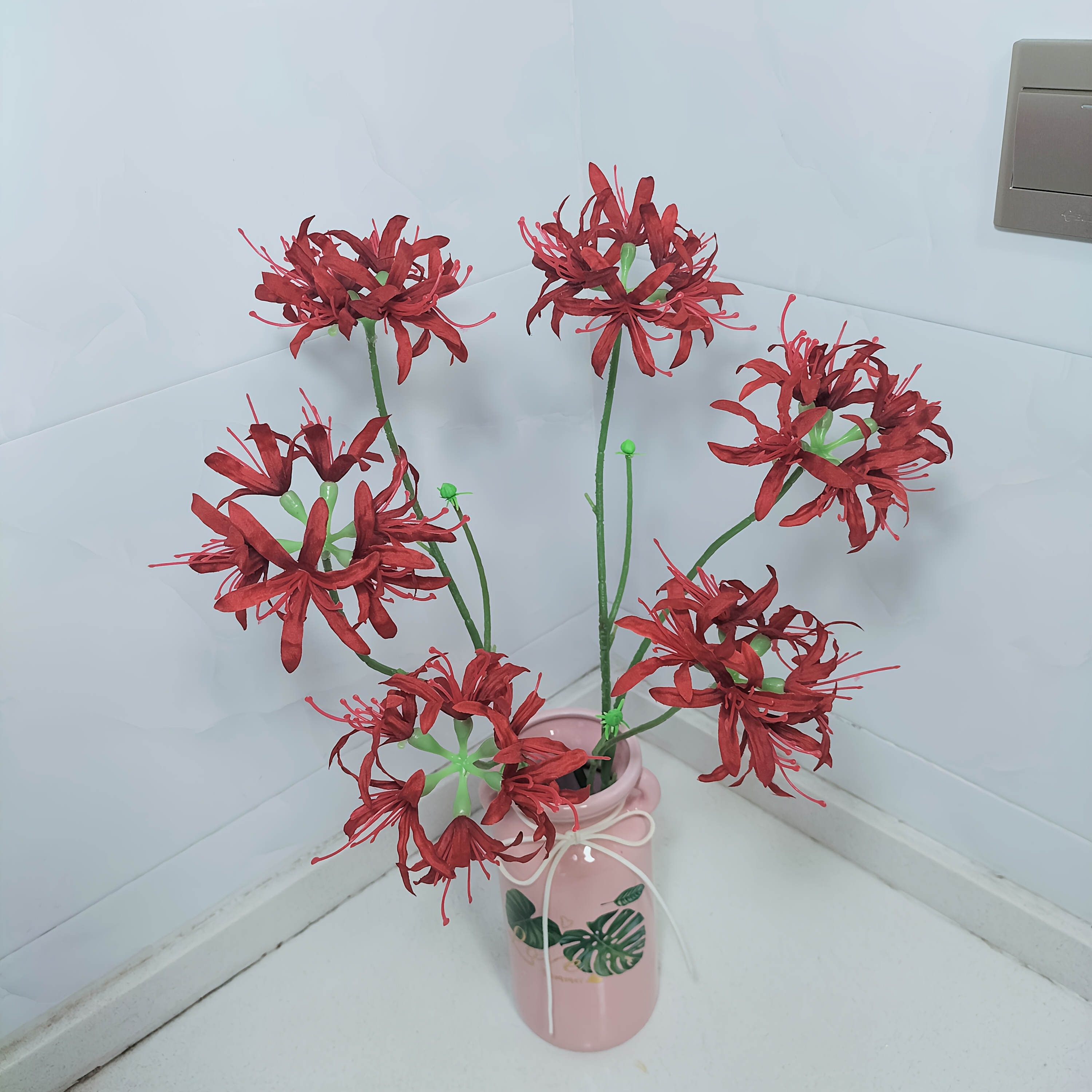 is kalanchoe a succulent Vibrant Kalanchoe Succulents