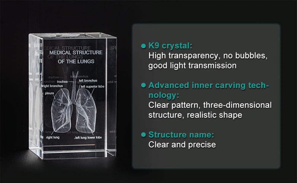 3d Human Lung Crystal Model Organ Props Laser Etched Anatomical Model 